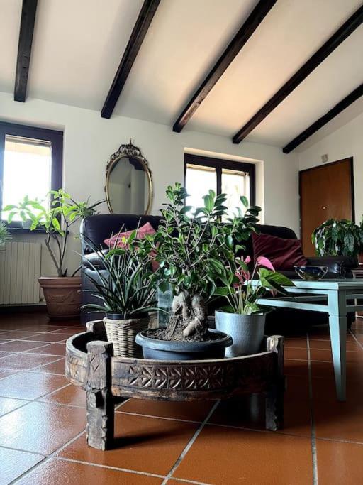 Apartment In Villa La Carruba Rivergaro Dış mekan fotoğraf