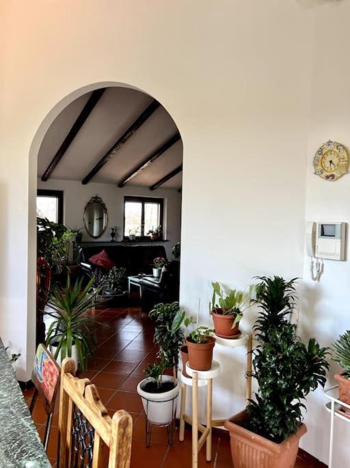 Apartment In Villa La Carruba Rivergaro Dış mekan fotoğraf